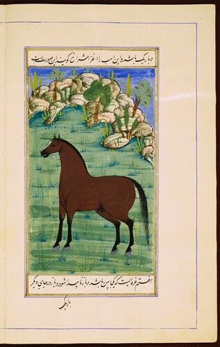 Farasnamah فرسنامه (A Treatise on Horses) and Dawlatnamah دولتنامه (A Treatise on Falcons) Farasnamah فرسنامه (A Treatise on Horses) and Dawlatnamah دولتنامه (A Treatise on Falcons)