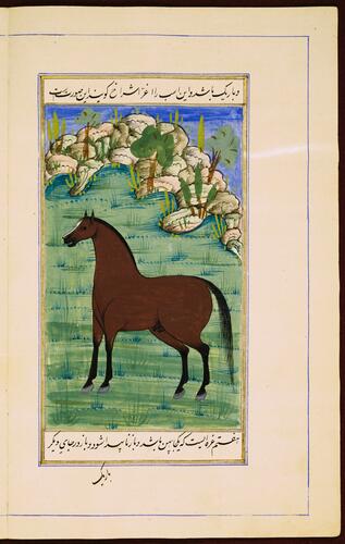 Farasnamah فرسنامه (A Treatise on Horses) and Dawlatnamah دولتنامه (A Treatise on Falcons)