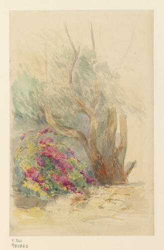 Flowers and a tree