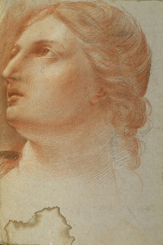 The head of a woman The head of a woman