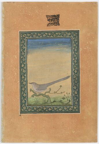 Master: Mughal album of portraits, animals and birds.
Item: Paintings of a Mughal lady and a common babbler Master: Mughal album of portraits, animals and birds.
Item: Paintings of a Mughal lady and a common babbler