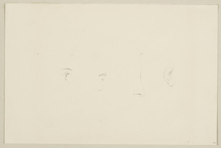 Studies of facial features