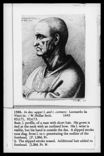 Head of a man Head of a man