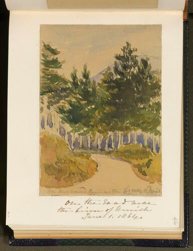 Master: SKETCHES FROM NATURE V. R. 1862 TO 1864
Item: On the road near the Linn of Muick