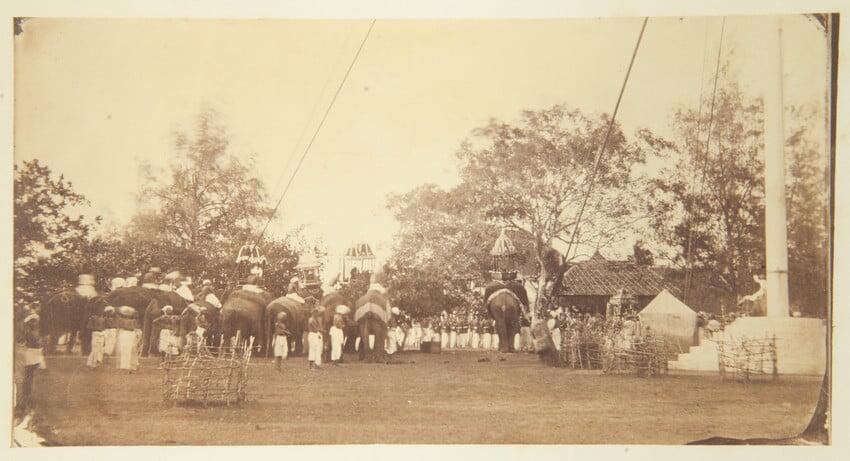 Lady Napier's visit to Travancore: Residency at Trivandrum with the states elephants belonging to the Rajah - 22? February 1868 Lady Napier's visit to Travancore: Residency at Trivandrum with the states elephants belonging to the Rajah - 22? February 1868
