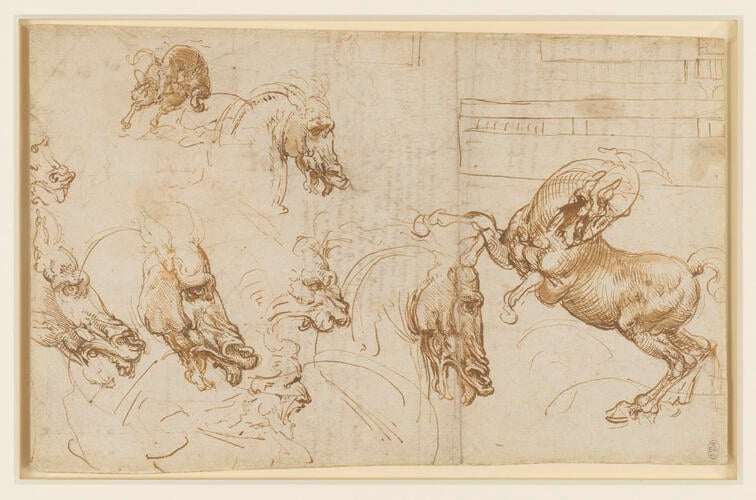 Recto: A rearing horse, and heads of horses, a lion and a man. Verso: Notes and diagrams on astronomy and geometry, and the head of a horse