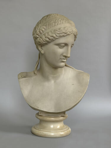 Bust of the Venus d’Arles