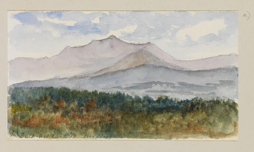 Master: SKETCHES BY QUEEN VICTORIA II
Item: The Bush