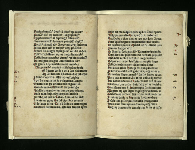[Commentary on Alexander of Villedieu's Doctrinale]