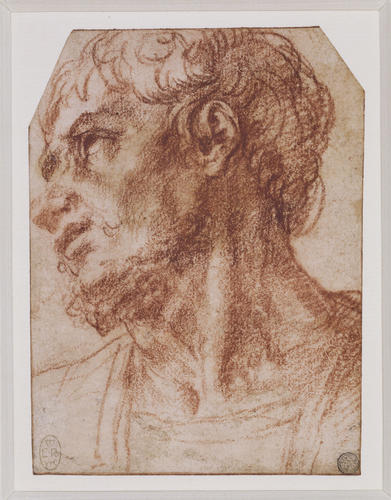 The head of a man