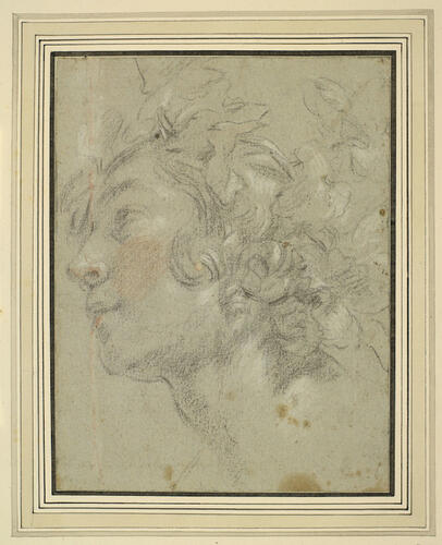 The head of a youth The head of a youth