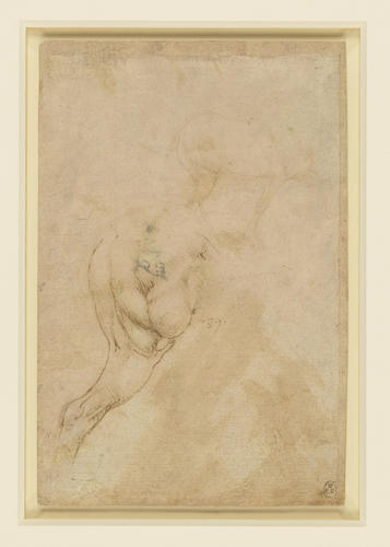 Recto: The hind-quarters of a horse, and a sketch of a horse. Verso: Rough sketches of horses' heads Recto: The hind-quarters of a horse, and a sketch of a horse. Verso: Rough sketches of horses' heads