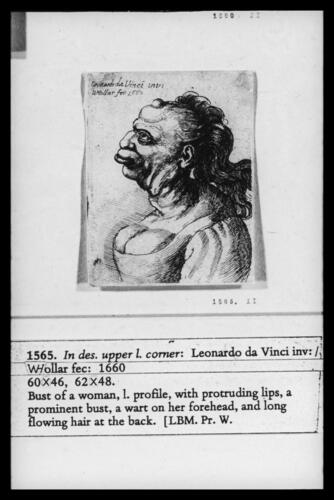 Head of a woman