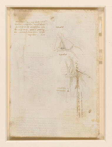 Recto: The vessels and nerves of the neck. Verso: The vessels of the liver Recto: The vessels and nerves of the neck. Verso: The vessels of the liver