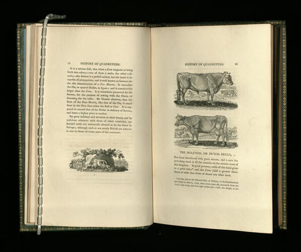 A General history of quadrupeds. The fifth edition / the figures engraved on wood by Thomas Bewick A General history of quadrupeds. The fifth edition / the figures engraved on wood by Thomas Bewick