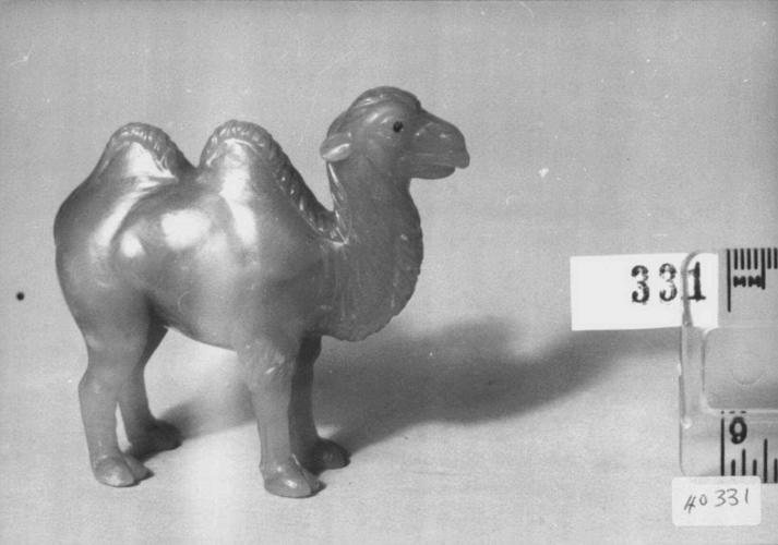Bactrian camel