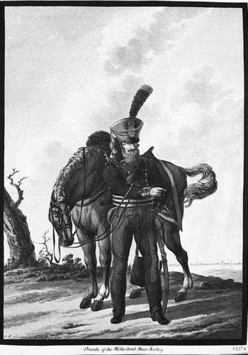 Netherlands Army. Private, Horse Artillery Netherlands Army. Private, Horse Artillery