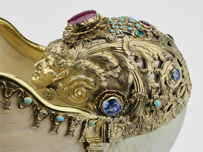 Nautilus cup Nautilus cup