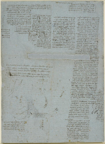 Recto: Studies of the alimentary tract, and other miscellaneous notes. Verso: Studies of breathing