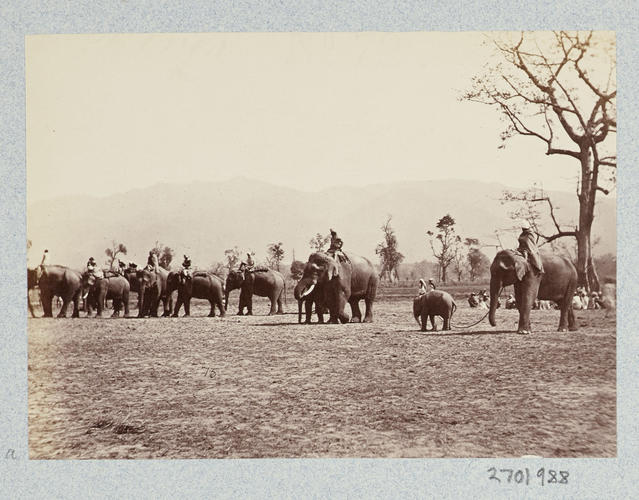 Captured Elephant and His Warders: Prince of Wales Tour of India 1875-6 (vol. 6) Captured Elephant and His Warders: Prince of Wales Tour of India 1875-6 (vol. 6)