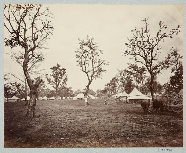 Terai Camp: Prince of Wales Tour of India 1875-6 (vol. 6) Terai Camp: Prince of Wales Tour of India 1875-6 (vol. 6)
