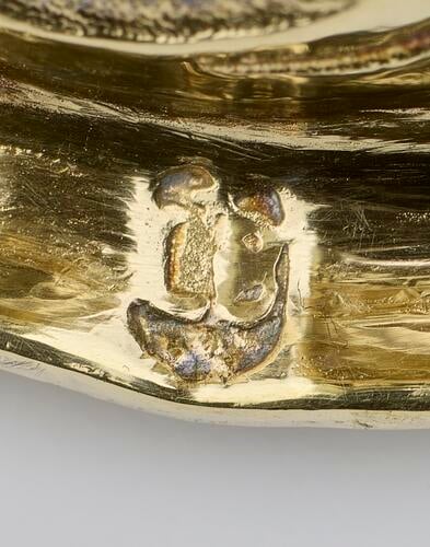 Nautilus cup Nautilus cup