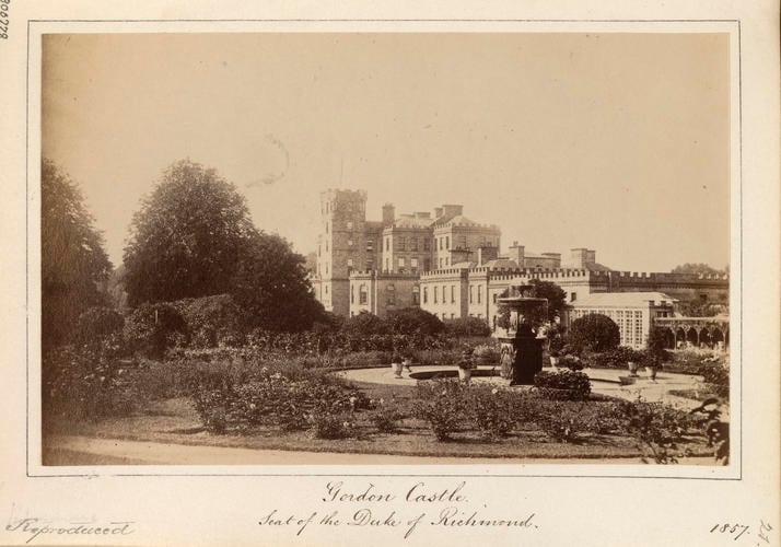 'Gordon Castle'