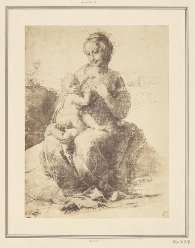 The Virgin and Child in a landscape ['La Madone Sergardi']