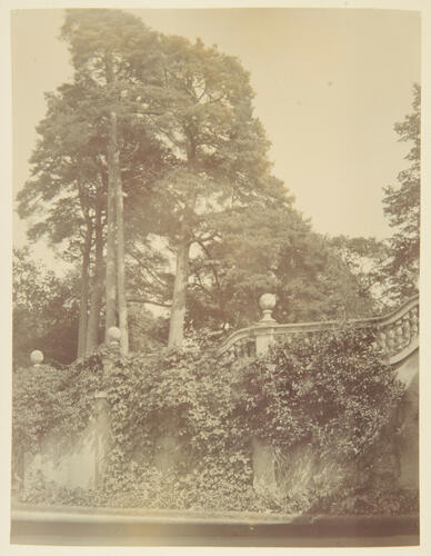 Park Hill, December 1895. [Album: Photographic Portraits, vol. 7/65 1892-1898]