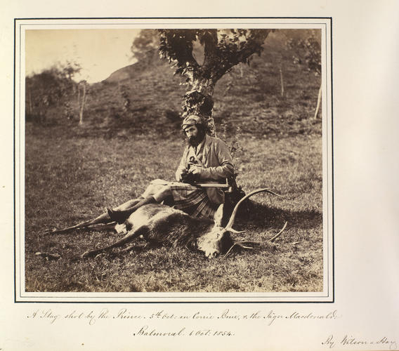 A Stag shot by the Prince on Corrie Buie and the Jager Macdonald, Balmoral A Stag shot by the Prince on Corrie Buie and the Jager Macdonald, Balmoral