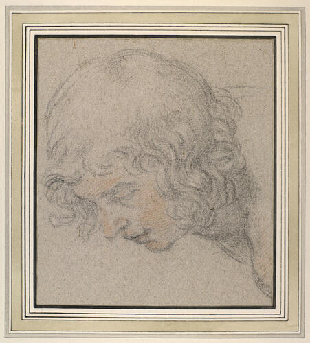 The head of a youth