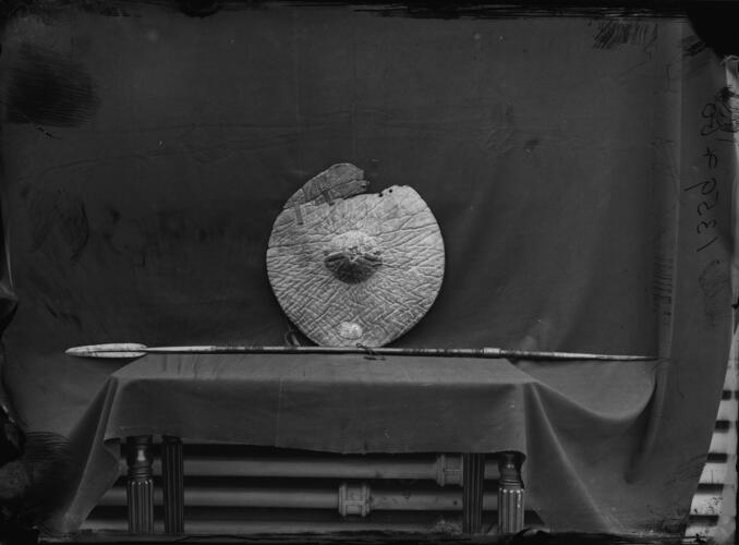 Glass plate negative Glass plate negative