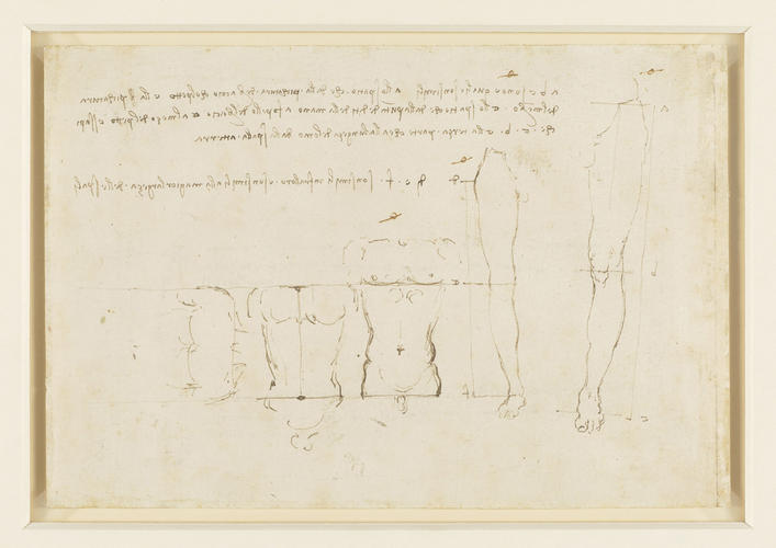 Recto: Studies of human proportion. Verso: Studies of human proportion Recto: Studies of human proportion. Verso: Studies of human proportion
