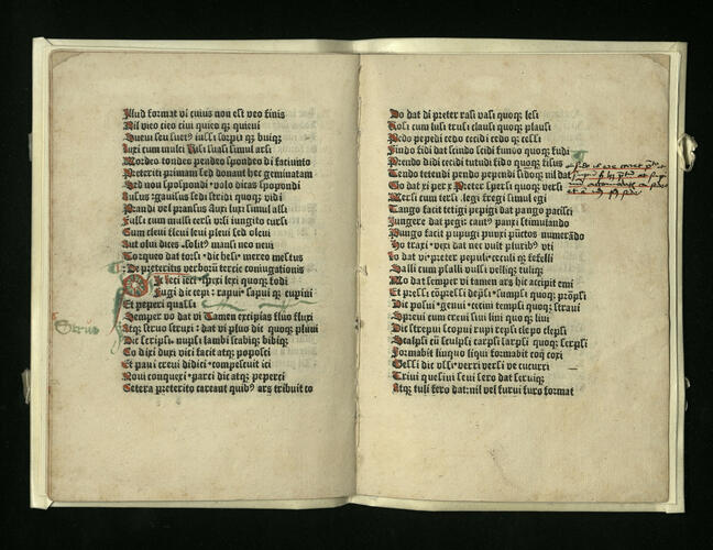[Commentary on Alexander of Villedieu's Doctrinale]