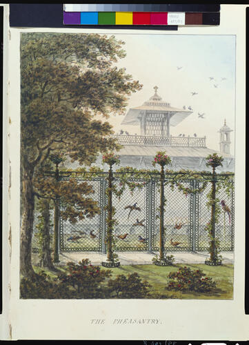 Designs for the Pavilion at Brighton: The Pheasantry