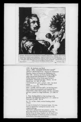 Sir Anthony van Dyck, with a sunflower, 1644 Sir Anthony van Dyck, with a sunflower, 1644