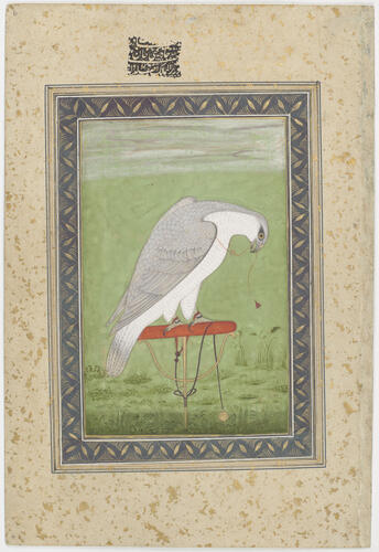 Mughal album of portraits, animals and birds