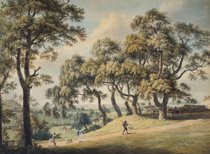 A park scene near Woolwich