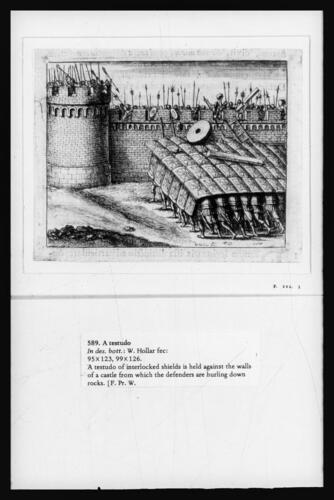 A Testudo A Testudo