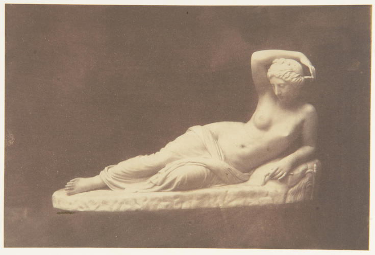 'Arethusa' 'Arethusa'