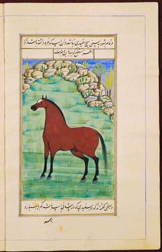 Farasnamah فرسنامه (A Treatise on Horses) and Dawlatnamah دولتنامه (A Treatise on Falcons)