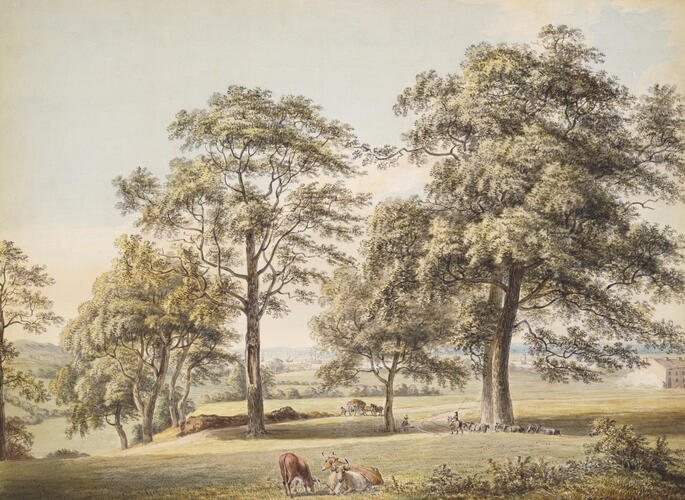 A park scene near Woolwich
