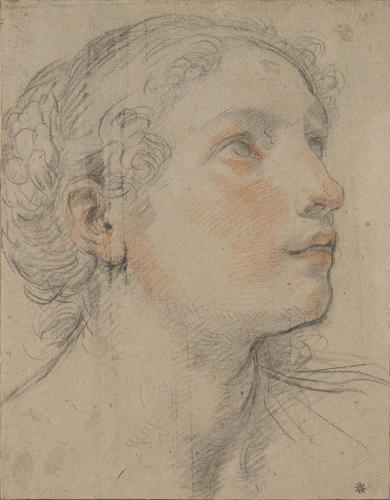 The head of a woman