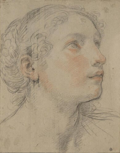The head of a woman