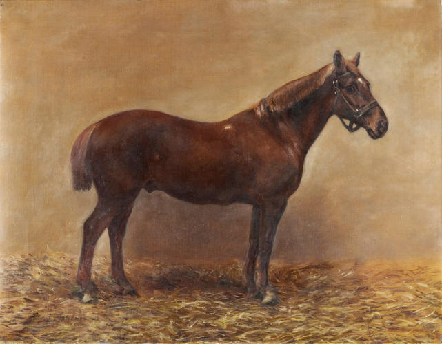 Iron Duke, a Shooting Pony of King Edward VII