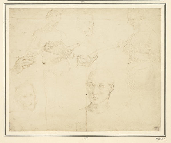 Sheet of studies