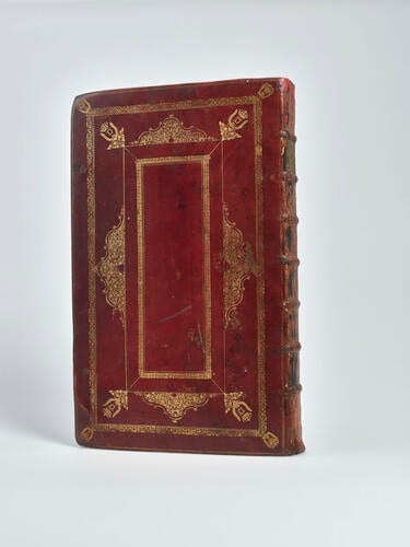The Book of Common Prayer and Administration of the Sacraments, and other rites and ceremonies of the Church, according to the use of the Church of England: Together with the Psalter or Psalms of David