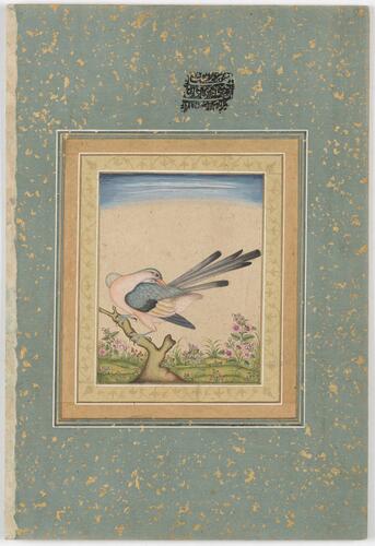 Master: Mughal album of portraits, animals and birds.
Item: Portrait of Bahadur Shah I and painting of an imaginary bird