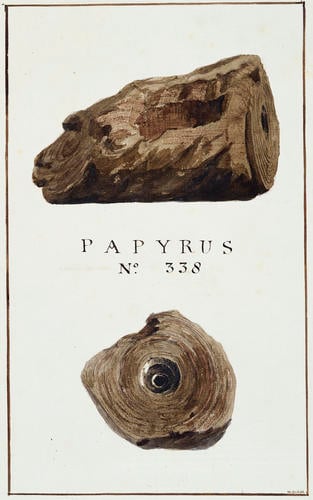 Copies of specimens of papyri [found at Herculaneum], unrolled under the auspices of His Sacred Majesty King George the Fourth / [Sir William Gell]