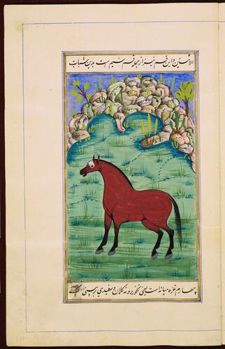 Farasnamah فرسنامه (A Treatise on Horses) and Dawlatnamah دولتنامه (A Treatise on Falcons)